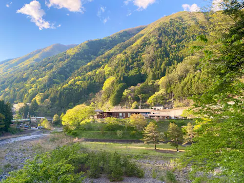 新緑が綺麗な時期