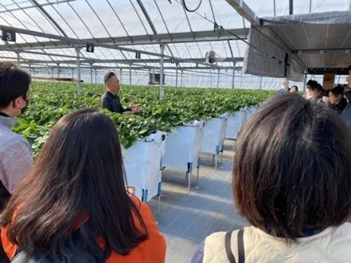 農家見学会の企画運営