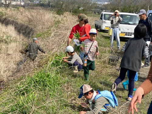 食べられる野草を夢中であつめてます！！