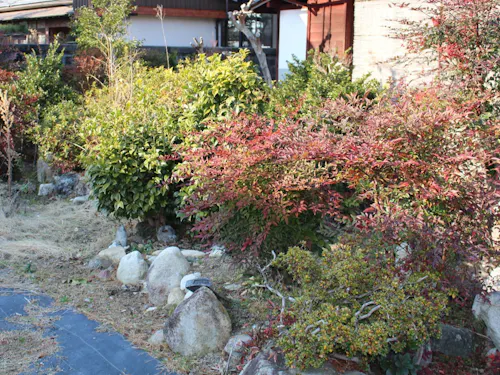 家の中の庭