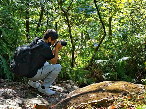 地域の魅力発見