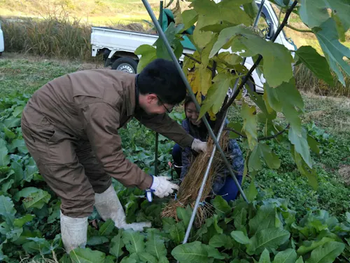 ボランティアさんの手を借りて一緒に。