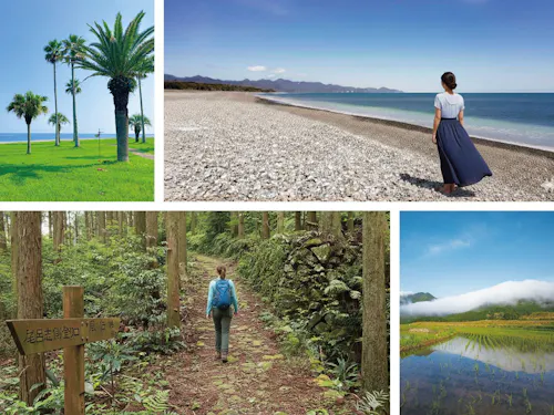 世界遺産「紀伊山地の霊場と参詣道」の構成資産。ほかにも御浜町の魅力はたくさん♪