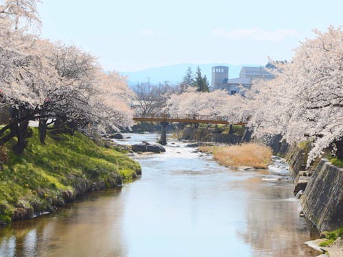 美しい自然に囲まれ、独自の文化や温かい人々が暮らす福島県田村市