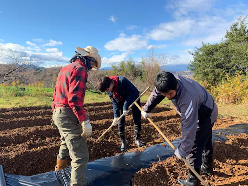 地元農家の方に教わりながら農業体験。就農相談も受け付けています。