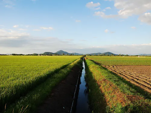 一面に広がる田園地帯