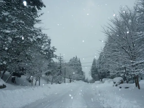 厳しい季節もまた、生活の知恵が身につく良い機会
