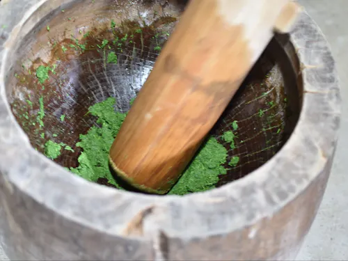 ヨモギも搗いてつぶしておきます
