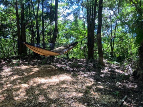 家族でも遊び行く「ひなむぎの森」