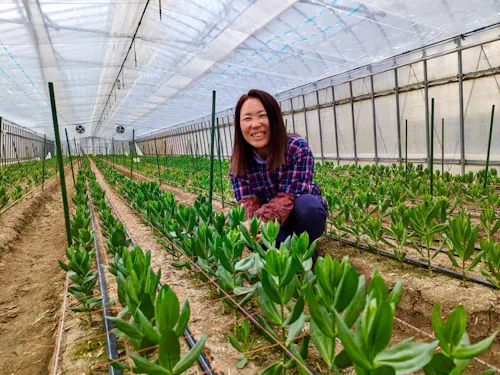 あぶくまカットフラワーグループに令和5年度入隊の地域おこし協力隊員です♪