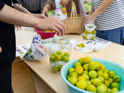 梅ジュースを仕込む