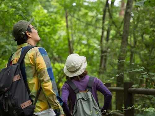 楽しくハイキングしましょう