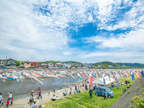 名物の加茂川を泳ぐ鯉のぼり