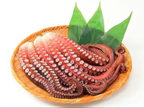 日本海から取れる苫前の名物海産物の一つミズダコ