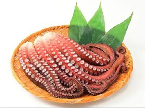 日本海から取れる苫前の名物海産物の一つミズダコ