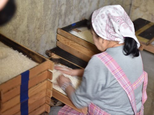 2日目 ムロ仕事