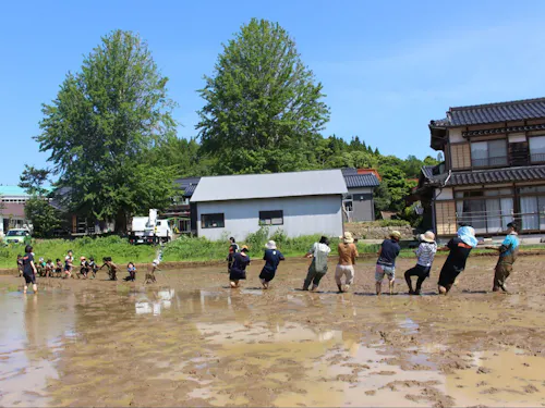 つなひきが盛んな島、海士町。田植え前の田んぼで遊ぶときもついつい✊