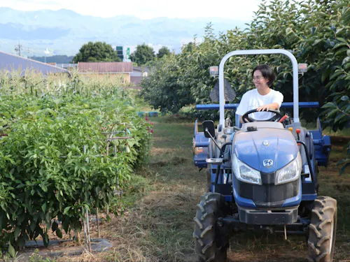 農業や仕事の体験の機会もご紹介!