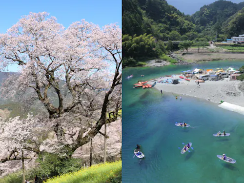 れいほくの春夏