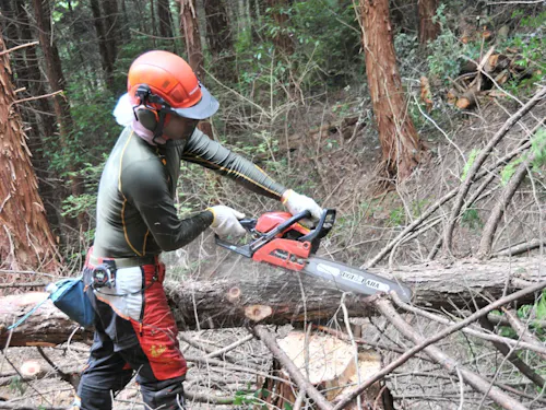 活動に必要な道具は支給します