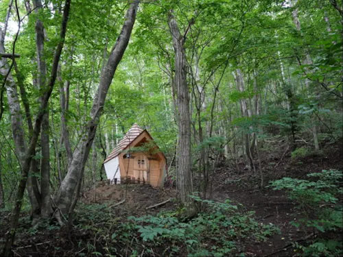 イマーシブ空間「こびとの森」