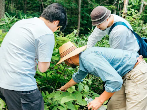 山でのイベント