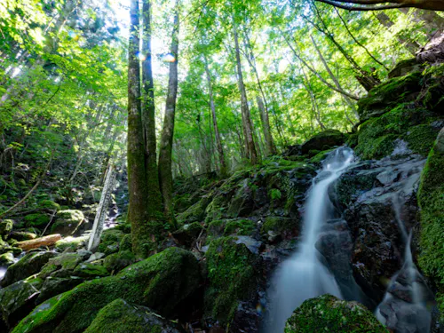 四万十川源流点