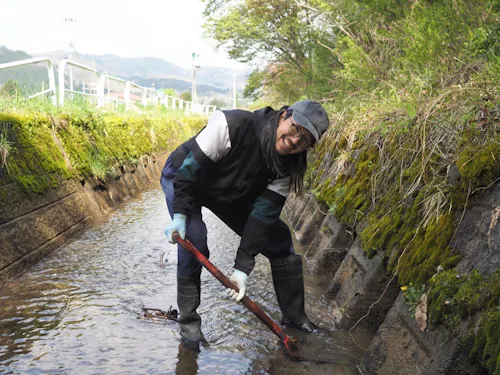 水路の砂利をスコップで取っていきます