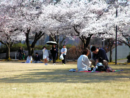 中央公園の様子