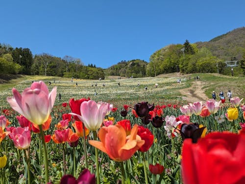 これから花や新緑がきれいな時期になります♪