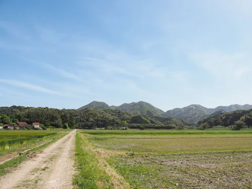 原さんのほ場は、山口県なのに「北の国から」のテーマを歌い出したくなるような場所!