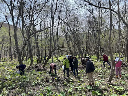 山菜採り交流会（4月下旬～5月上旬頃）
