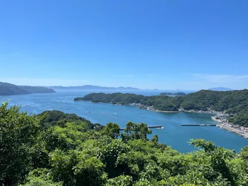 太平洋に面した美しい愛南町の町が舞台です