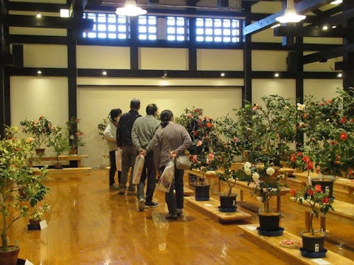 これまでの様子