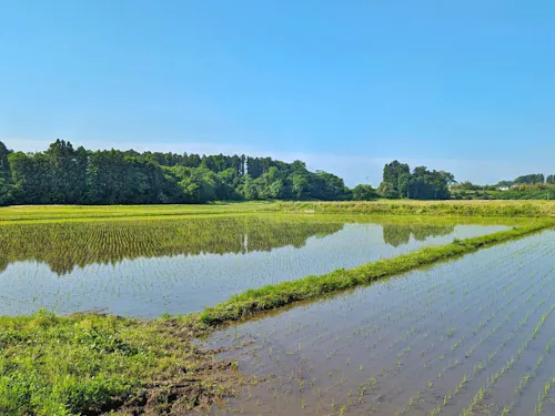 田植えの季節は、水面に反射する幻想的な風景を見ることができます