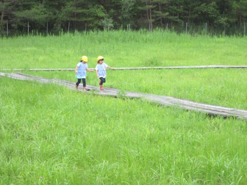 豊かな自然のなかでICTを活用した学びが展開されています