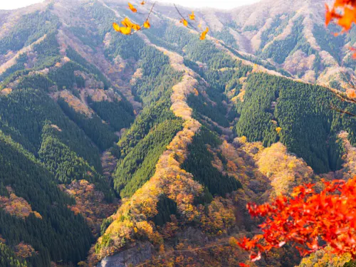 紅葉シーズンのナメゴ谷