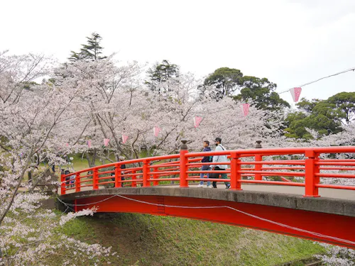 水郷おみがわ桜つつじまつり