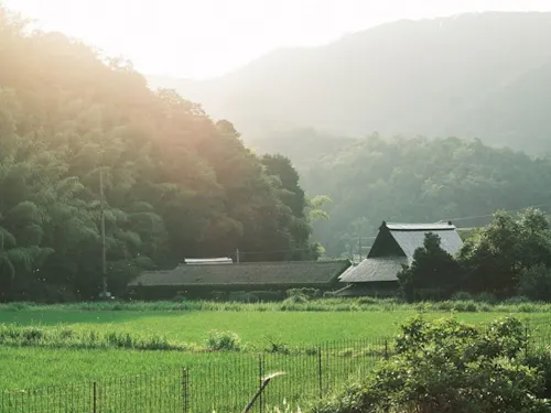 人にも昆虫にも心地よさそうな五箇エリア