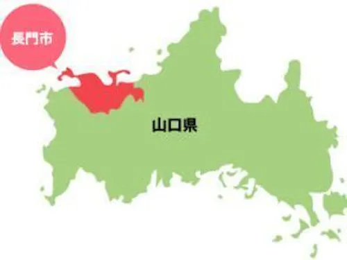▲日本海に面した自然豊かな街です。