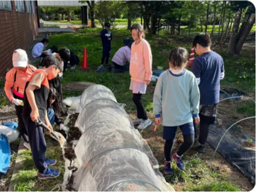 【小学部】特別授業でカボチャを育てました