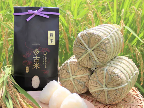 多古町のブランド米「多古米」も販売予定!