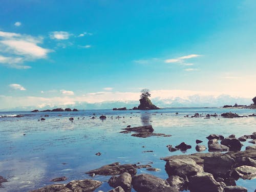 天晴海岸（高岡市）