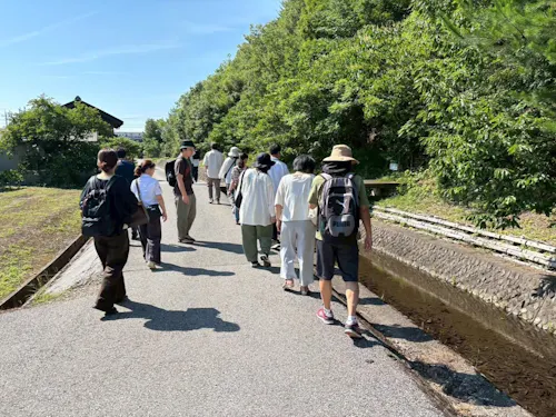 蛍が舞う、きれいな小川を散策