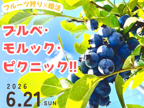 ブルーベリー摘み取り体験付きマッチングイベント
