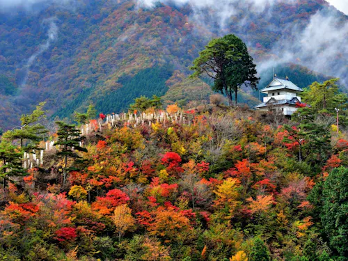 四季を感じさせる山の色づき