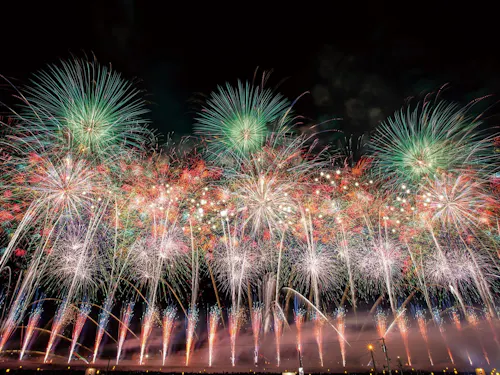 「花火のまち」大仙市で、新しいチャレンジを！