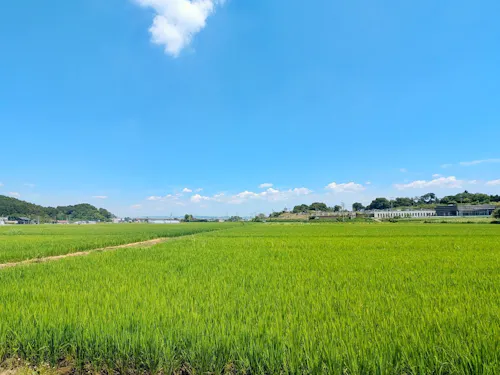 大きな青い空、雄大な緑一面の大地に心地よい風がふく