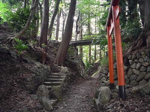 ご友人にも好評だった映画のロケ地となった中野城跡