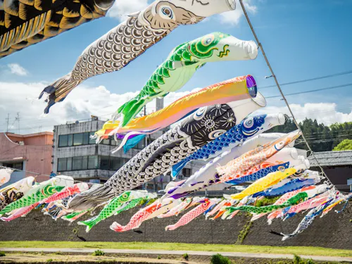 4月から5月にかけて500匹の鯉のぼりが泳ぐ加茂川